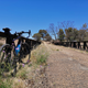 Illustration for article titled Bikepacking 101.